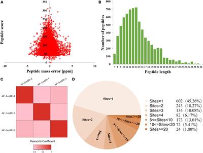 Quantitative acetylated proteomics on left atrial appendage tissues revealed atrial energy metabolism and contraction status in patients with valvular heart disease with atrial fibrillation